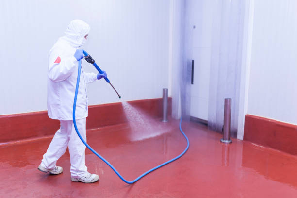 Professional Pressure Washing Services in New Holstein, WI
